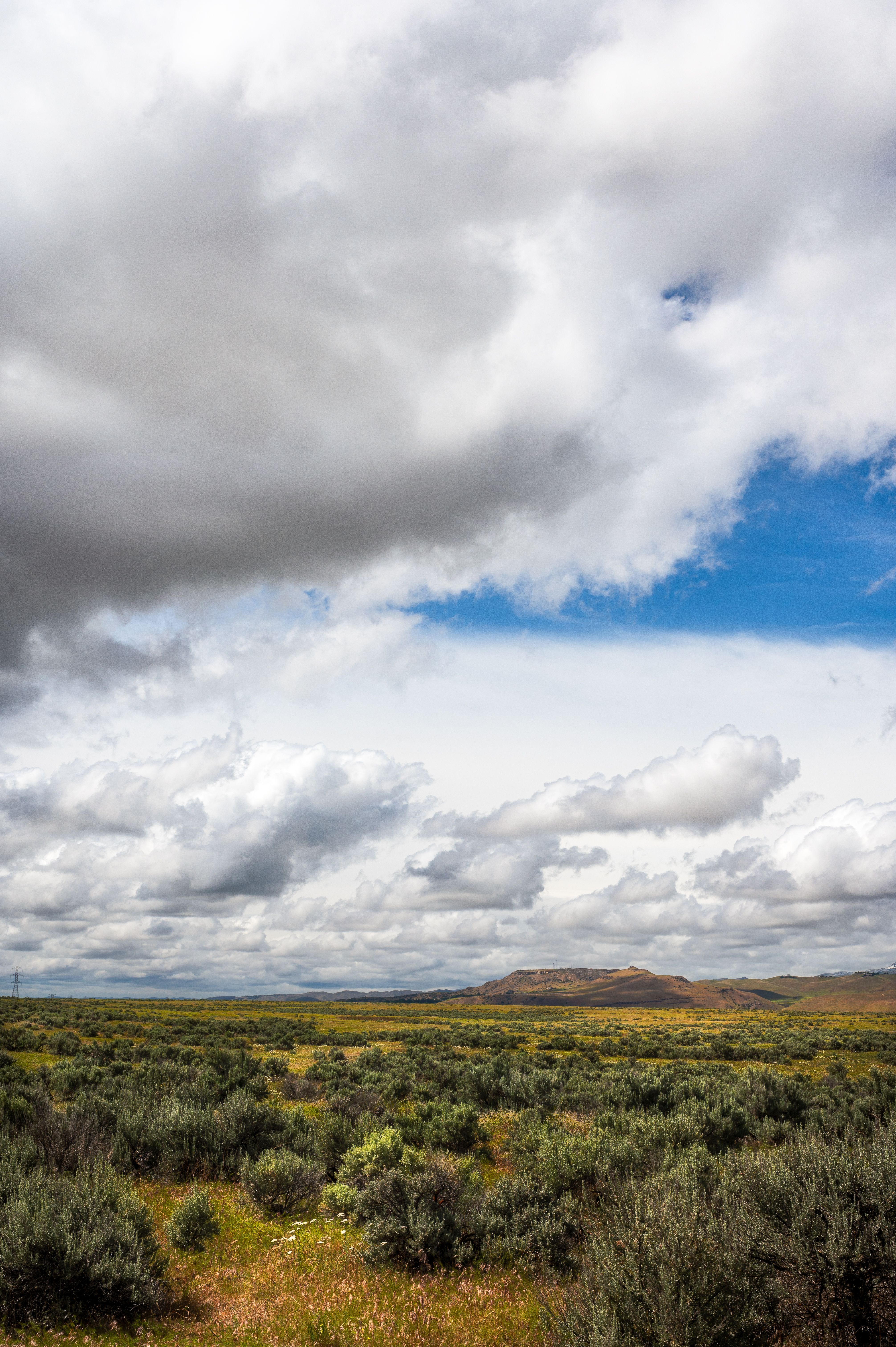 Green Grass Field Under White Clouds and Blue Sky · Free Stock Photo