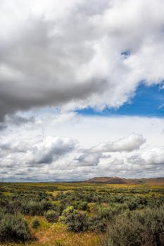 Scenic countryside view with clouds over open fields and hills on a summer day.