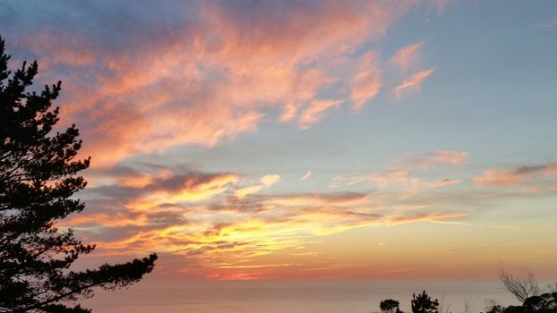 Beautiful sunset over the ocean with vibrant clouds and a silhouette of trees.
