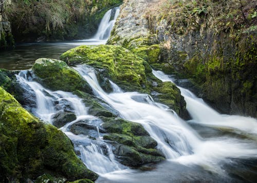 Air Terjun Dekat Tanaman