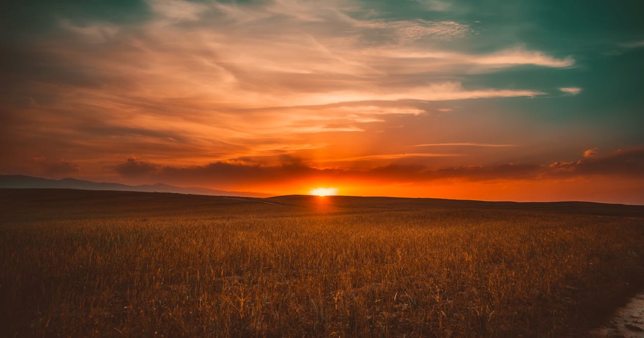 Δωρεάν στοκ φωτογραφιών με αγρόκτημα, Ανατολή ηλίου, αυγή Φωτογραφία από στοκ φωτογραφιών