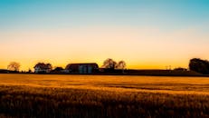 日落时分，金色的田野和农场建筑构成了一幅宁静的乡村景象