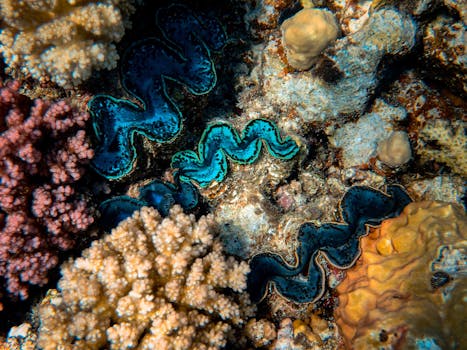 Close-up of a vibrant coral reef with diverse marine life, showcasing bright colors and intricate patterns.