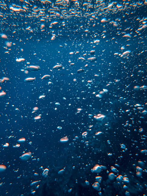 Mesmerizing underwater bubbles rising in ocean blue for a tranquil and serene visual.