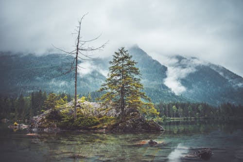 Scenic View Of Mountain Under Cloudy Sky