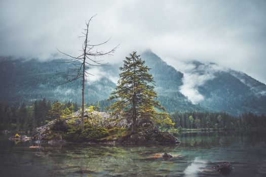 A serene mist-covered lake surrounded by mountains and trees in Bavaria.