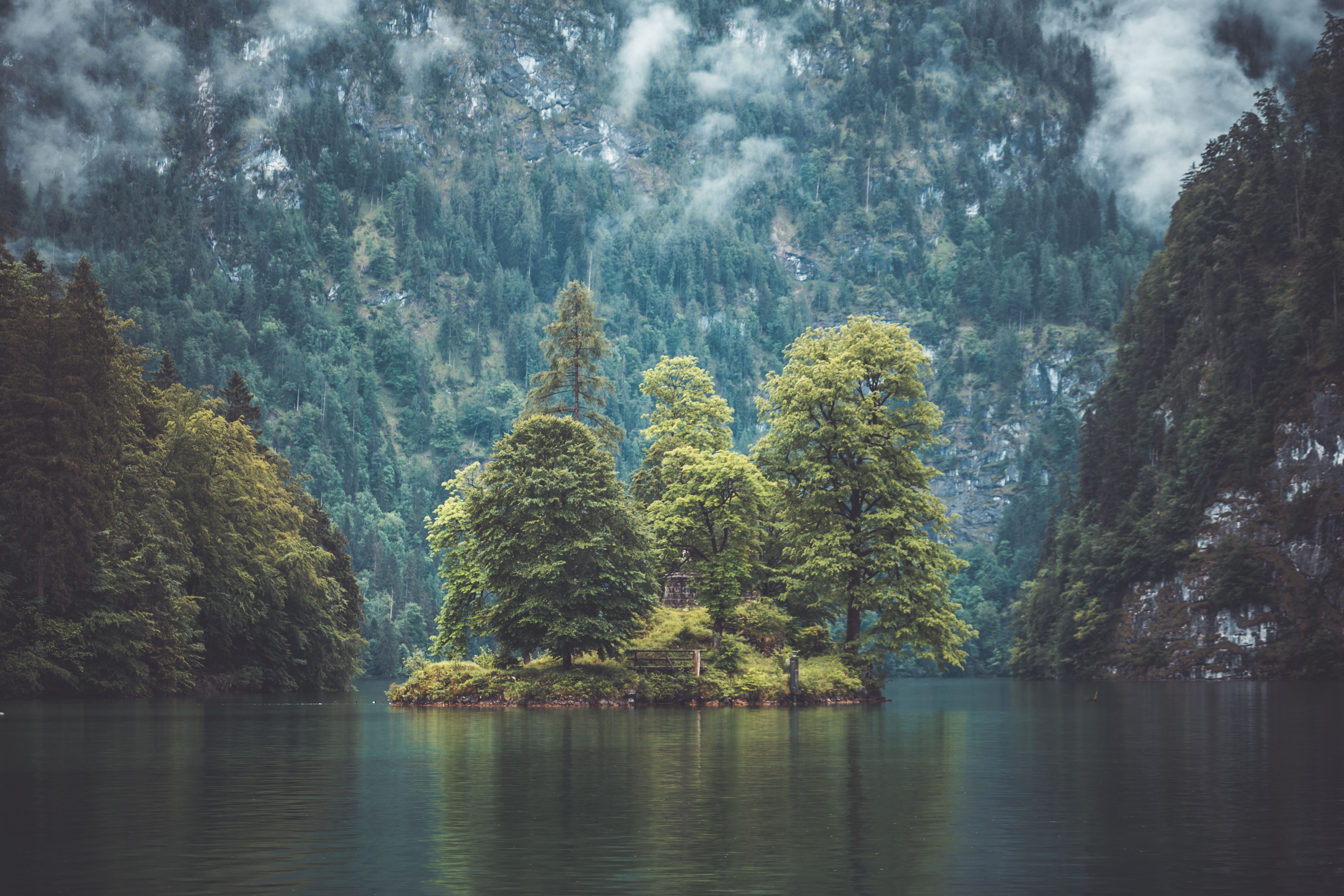 Scenic view of a misty lake surrounded by a lush green island and dense forest.