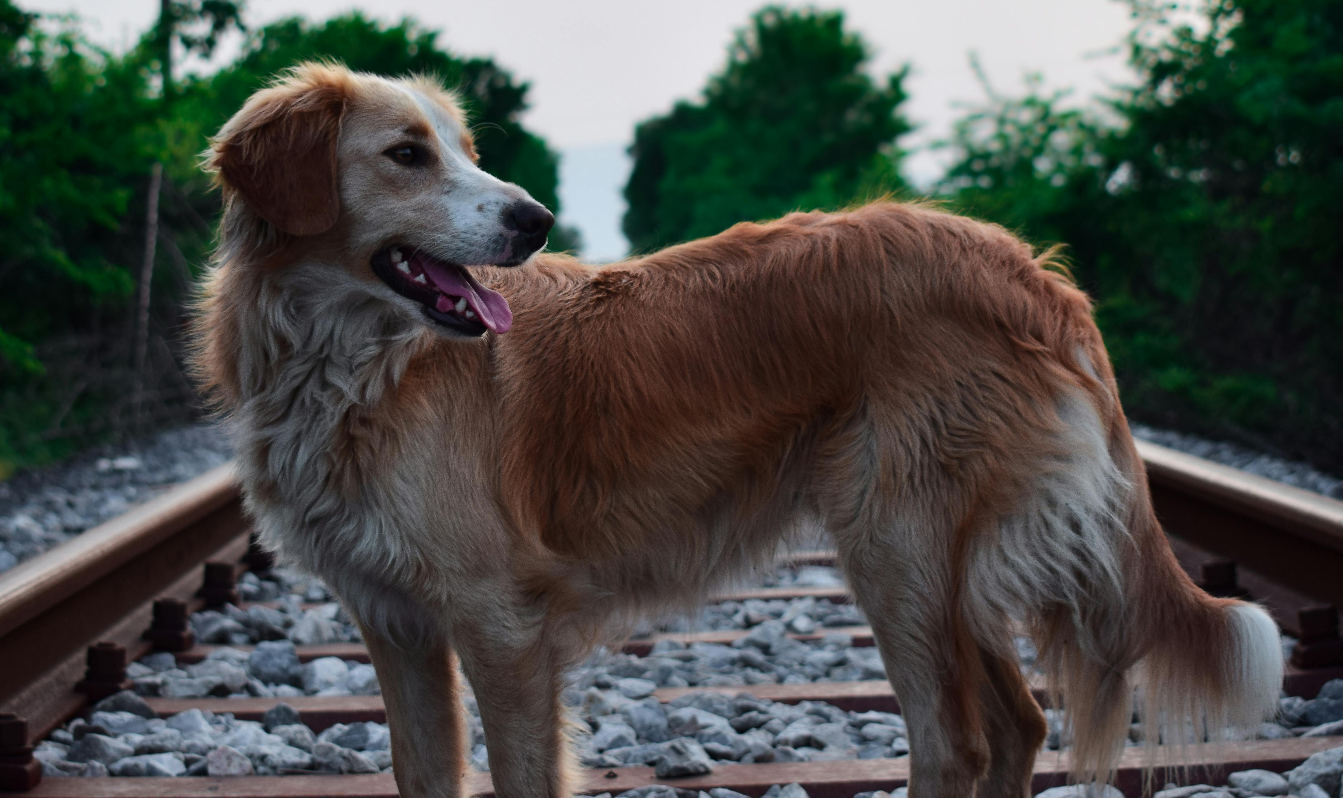 Woman in silk blindfold, serene relaxed expression in soft intimate lighting, embodying trustful hypnotic surrender