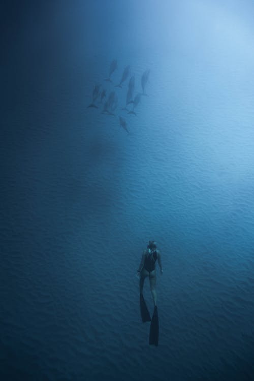 Woman Scuba Diving 
