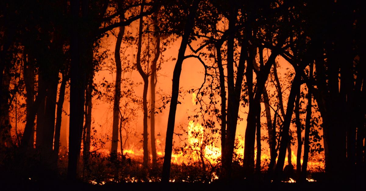 France Wildfires Rage