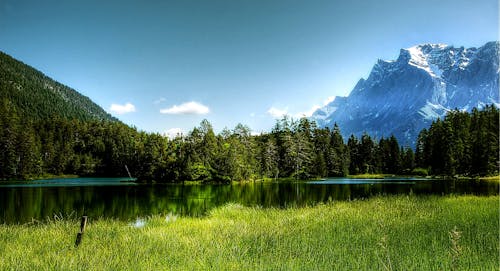 Lake Surrounded by Pine Trees Near Alps Mountains