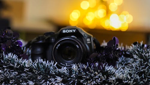 Free Close-Up Photo Of Sony Camera Stock Photo