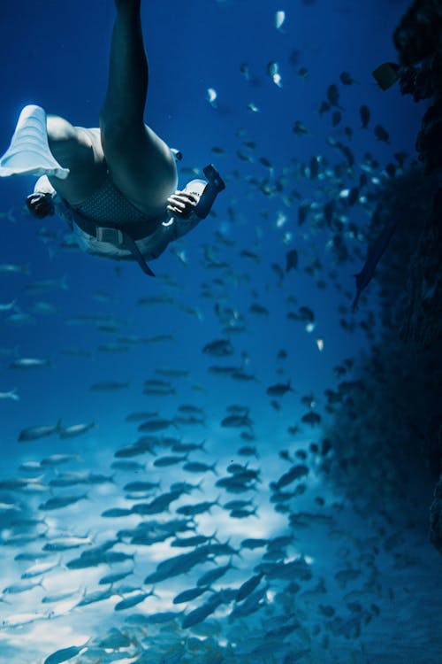 Free Photo Of Woman Swimming Underwater Stock Photo