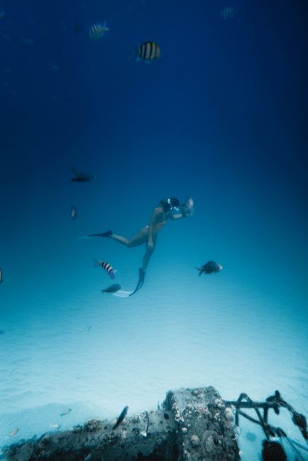 A female diver gracefully swims among vibrant marine life, exploring underwater beauty.