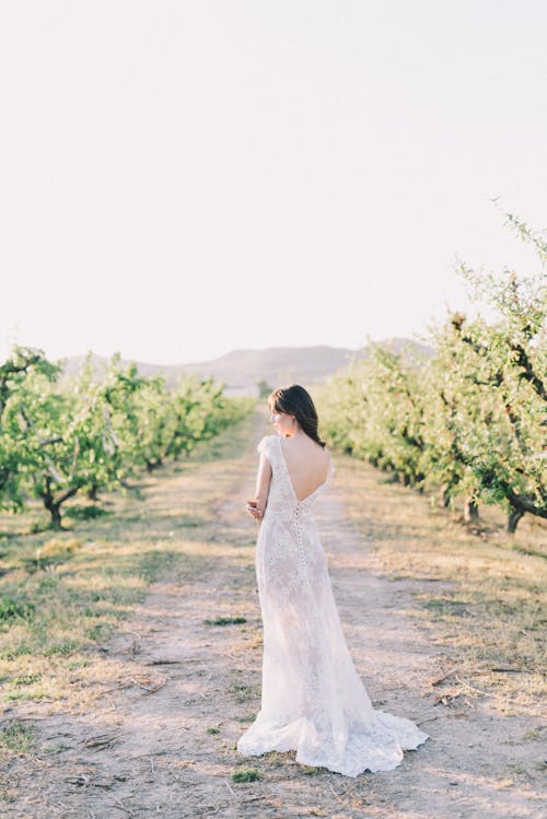 Back View of Bride Standing on Dirt Road in Orchard