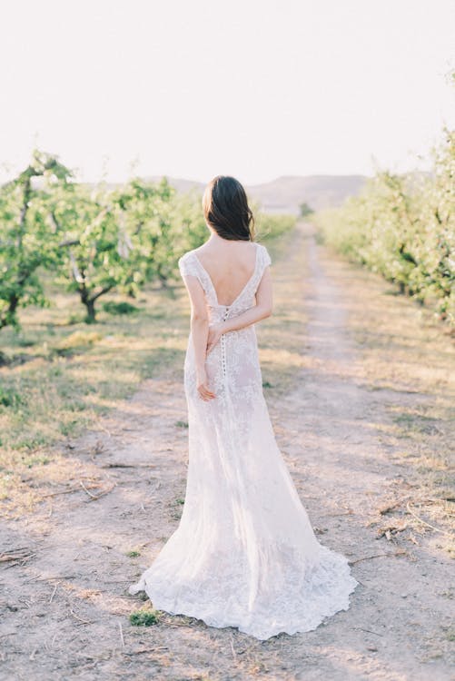 Back View of Bride in Wedding Dress on Dirt Road in Orchard
