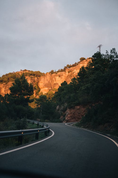 Gray Asphalt Road Along Trees and a Cliff