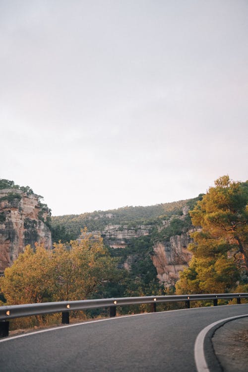 Empty Curved Asphalt Road Near Green Trees and Cliffs