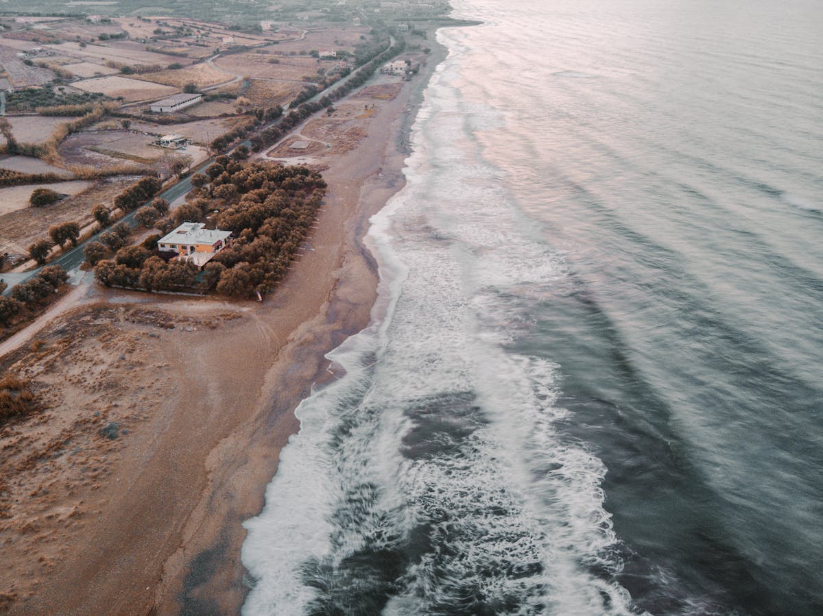 Small apartment wall with shelves, plants, and artwork creating vertical storage and decor