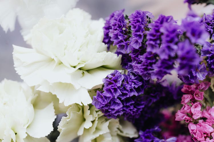 Close-up Of Summer Flowers