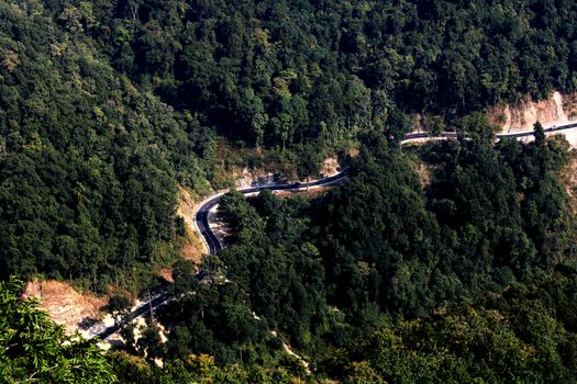 High angle shot of a winding road through a lush forest, capturing nature's beauty and scenic travel routes.