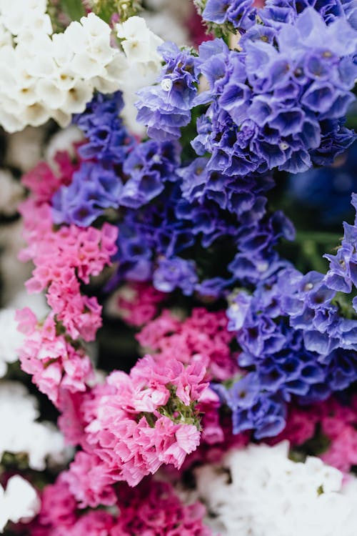 Free Purple Pink and White Flowers in Tilt Shift Lens Stock Photo