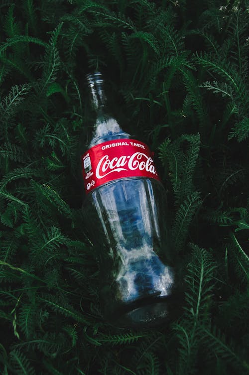 Coca Cola Glass Bottle on Green Plant