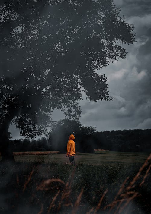 Person in Orange Jacket Standing under a Tree 