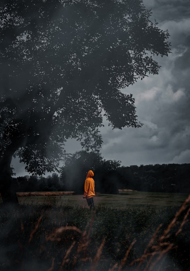 Person In Orange Jacket Standing Under A Tree 