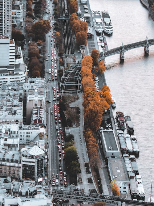 Drone view of modern city with busy streets and buildings near bridge crossing river surrounded by orange autumn trees