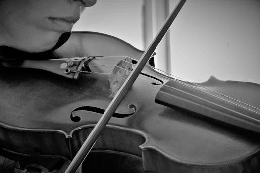 Free stock photo of wood, black-and-white, person, people