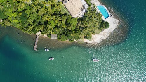 Free Spectacular drone view of lush vegetation growing on tropical resort near house with swimming pool on coast of turquoise ocean Stock Photo