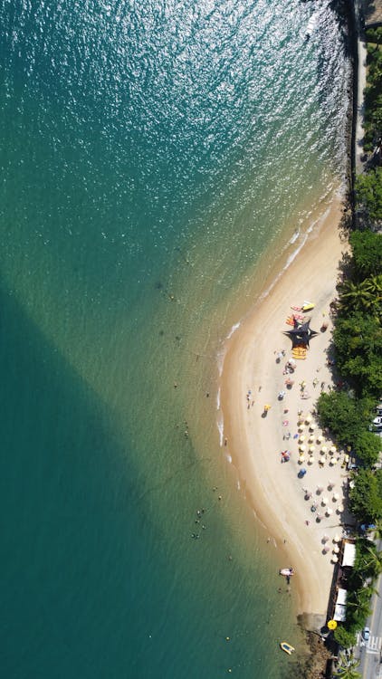 Sandy coastline of wavy ocean on sunny day