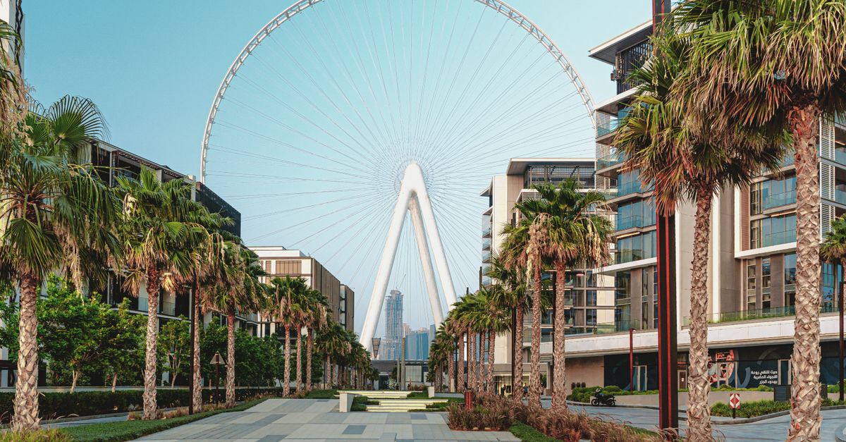 Symmetrical view of a cityscape with a Ferris wheel and palm-lined walkway.