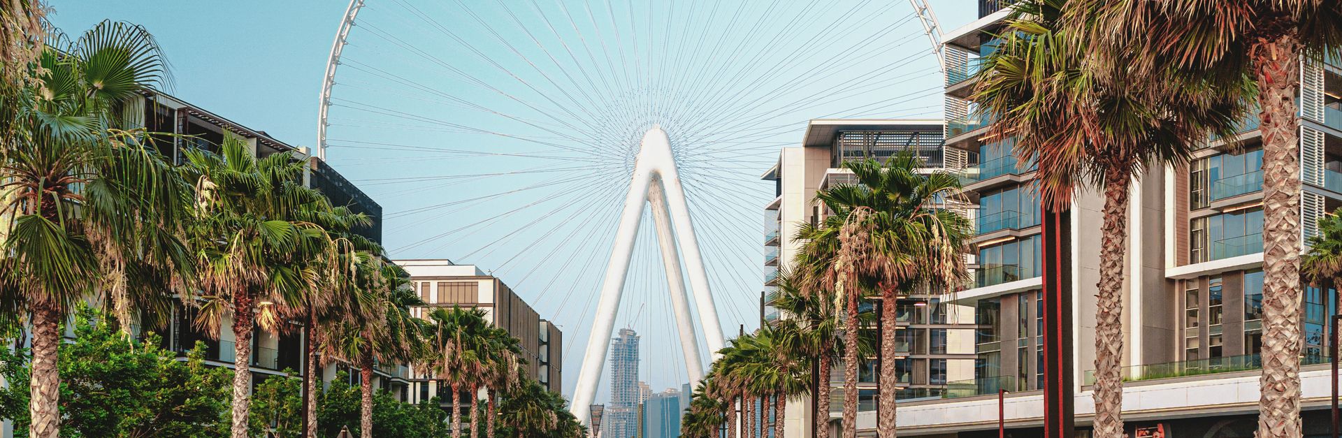 Symmetrical view of a cityscape with a Ferris wheel and palm-lined walkway.
