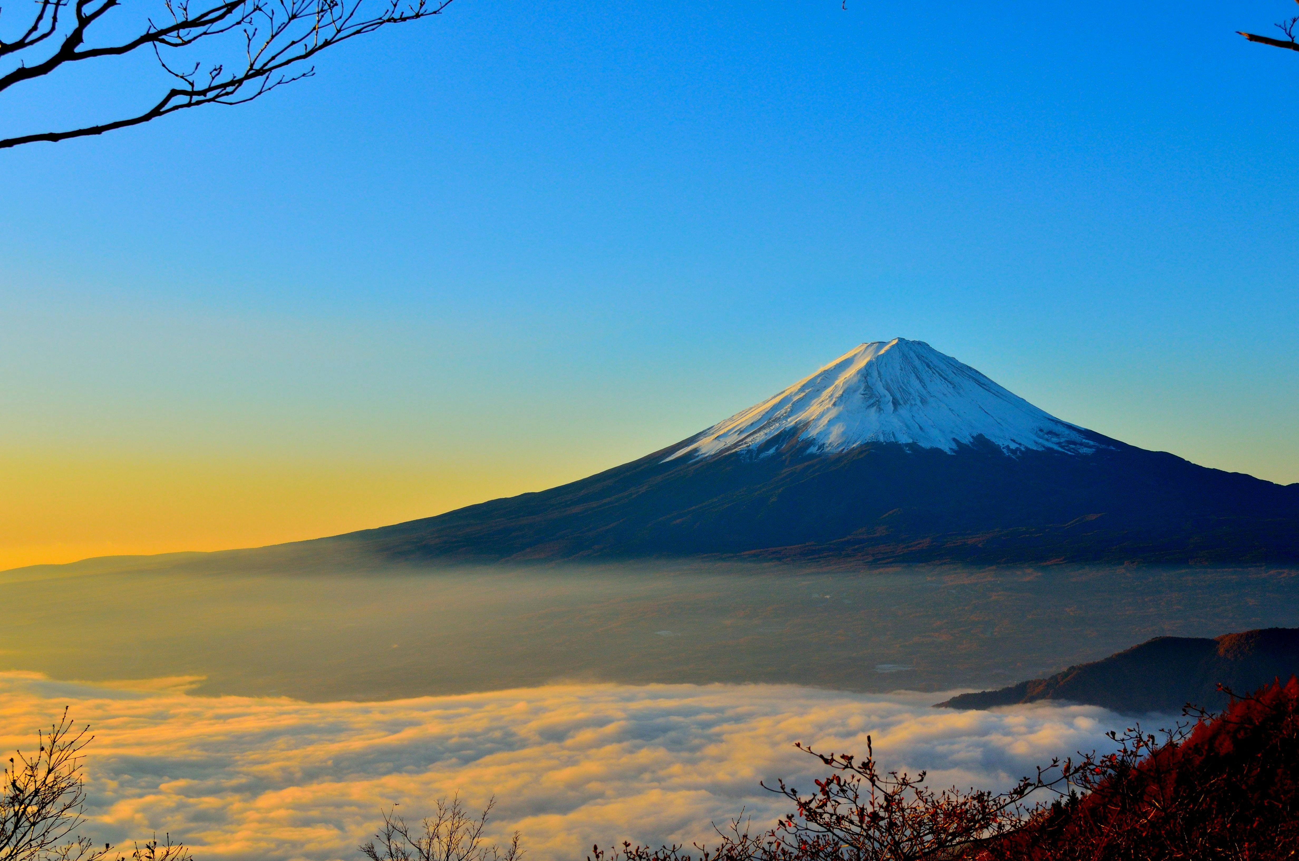 Spring Sakura Mount Fuji Live Wallpaper - MoeWalls