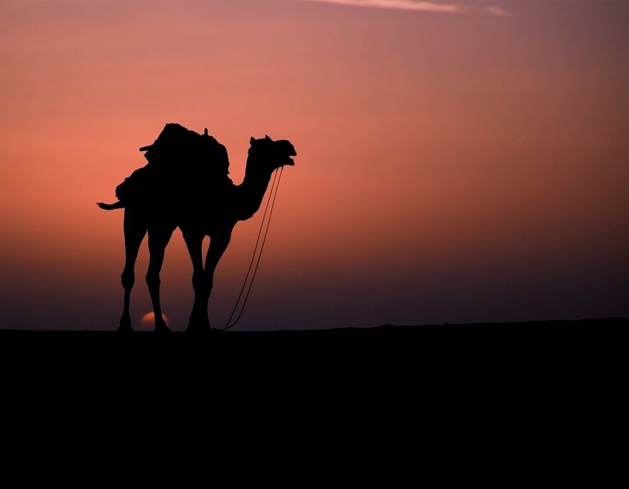 Rajasthan — travel photograph 2