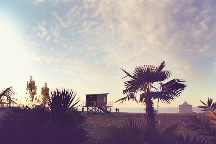 Tropical Beach With Palms And Lifesaver House