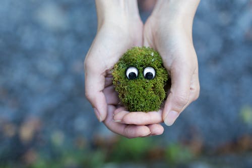 Person Showing Green Plant With Eyes