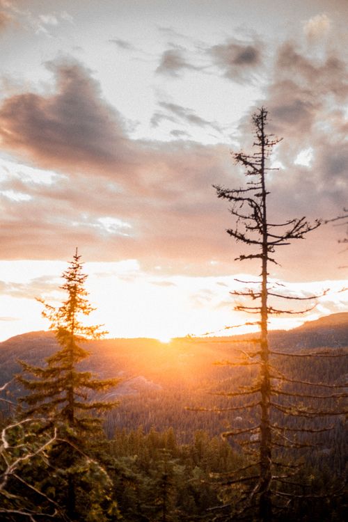 Free Beautiful sunset over a mountainous forest landscape, capturing nature's tranquil beauty. Stock Photo