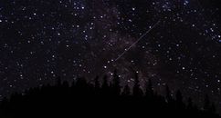 夜空中繁星与流星交织，映衬着树木轮廓的壮丽景色