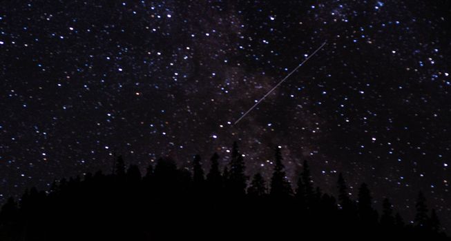 夜空中繁星与流星交织，映衬着树木轮廓的壮丽景色