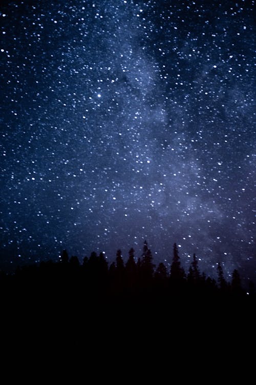 Free Silhouette of Trees Under Starry Sky Stock Photo
