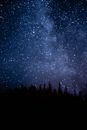 迷人的星空在森林的黑暗轮廓上方，揭示了银河系