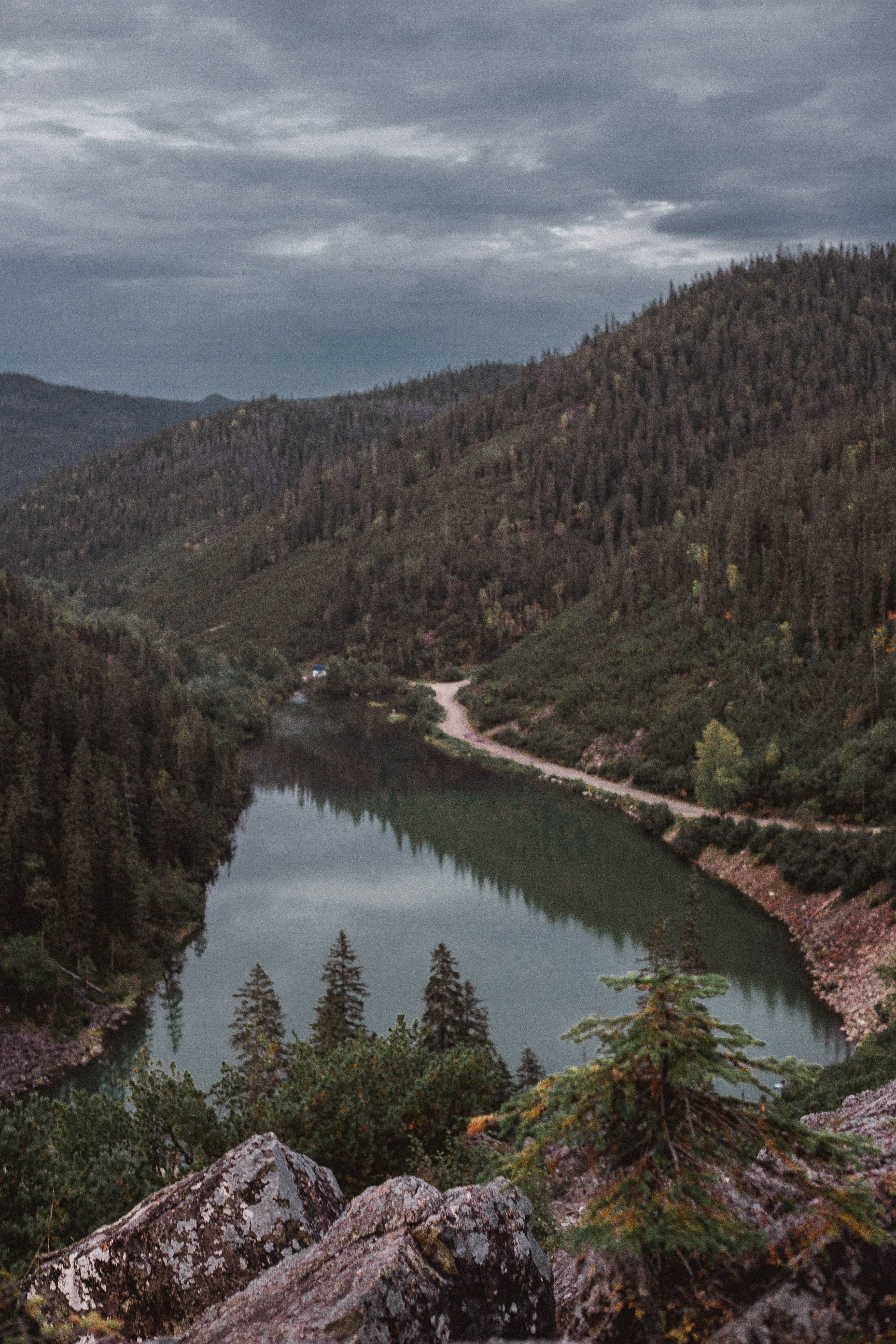 Green Trees and Lake Under Cloudy Sky · Free Stock Photo