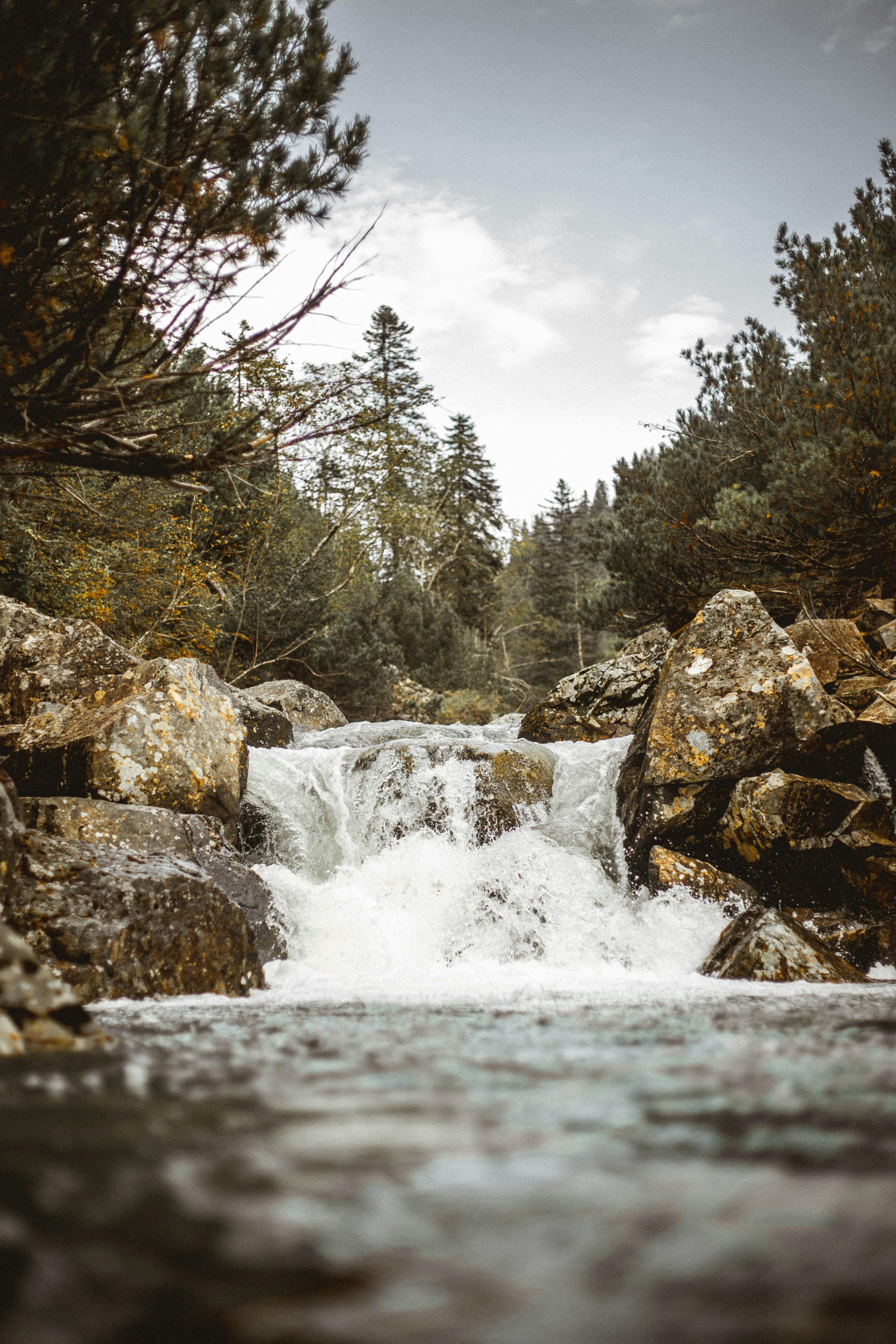 宁静的山间溪流从岩石上倾泻而下，穿过郁郁葱葱的林地，非常适合营造自然放松的意象