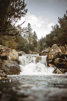 宁静的山间溪流从岩石上倾泻而下，穿过郁郁葱葱的林地，非常适合营造自然放松的意象