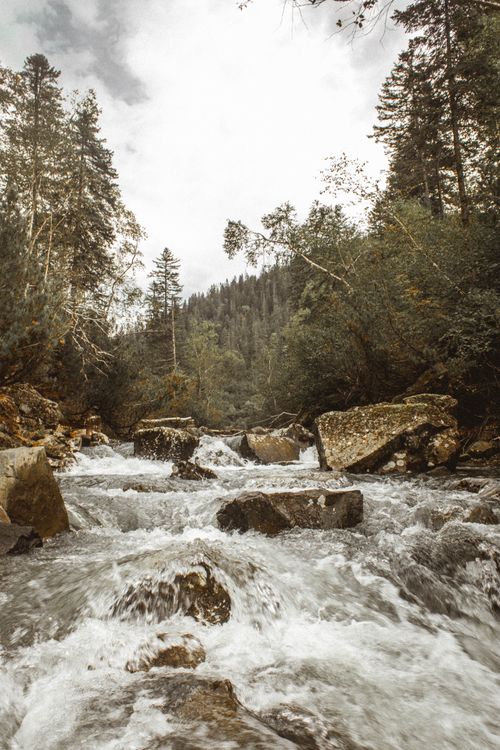 Free A picturesque view of a rushing river stream surrounded by lush forest and rocks. Stock Photo