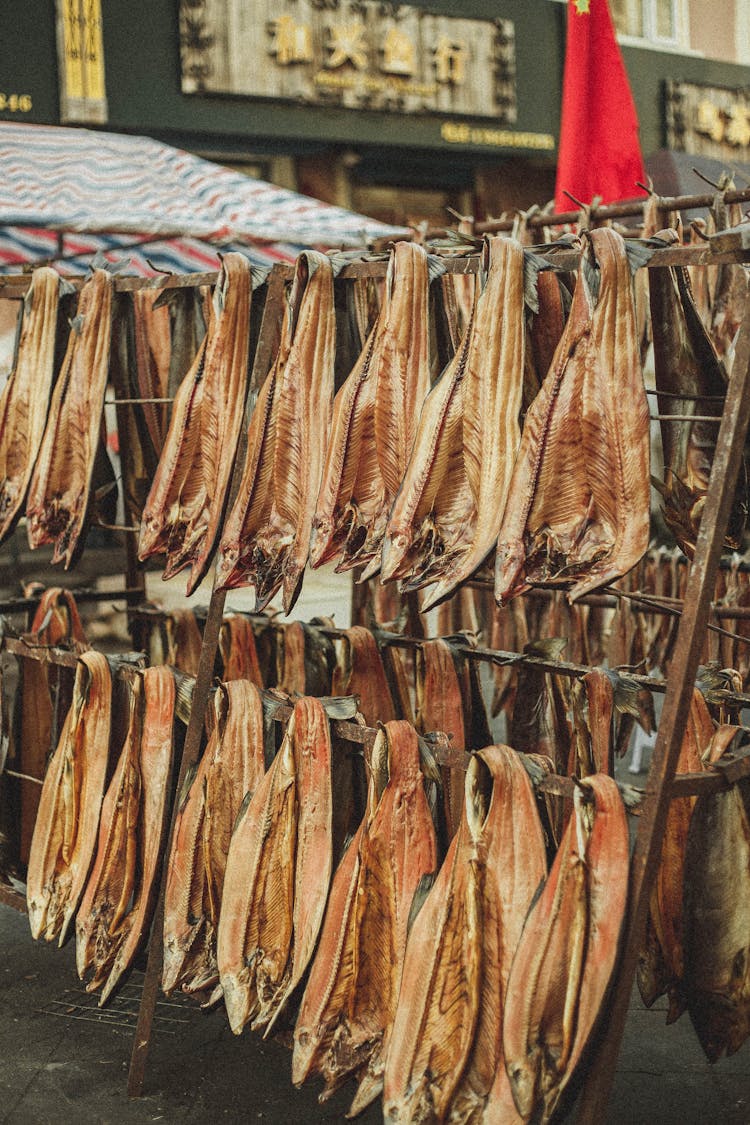 Photo Of Hanging Dried Fish 