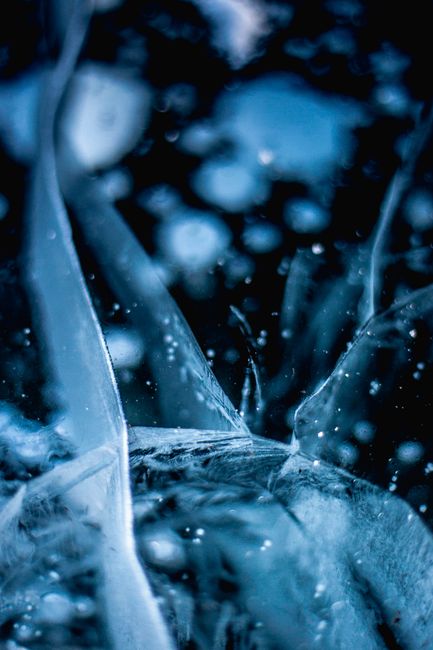 Close-up macro photograph capturing intricate frozen ice patterns with a cool blue tone.
